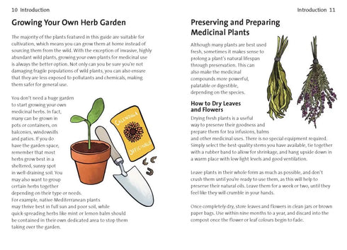 Concise Medicinal Plants - Tiffany Francis-Baker 2025